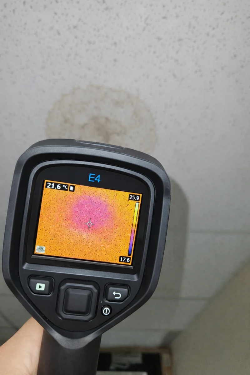 mold testing coquitlam